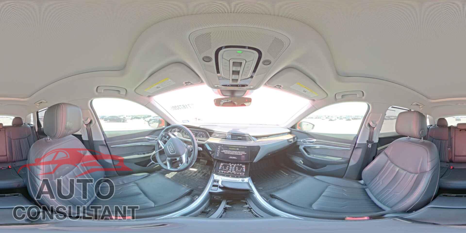 AUDI E-TRON 2019 - WA1VAAGE3KB021176