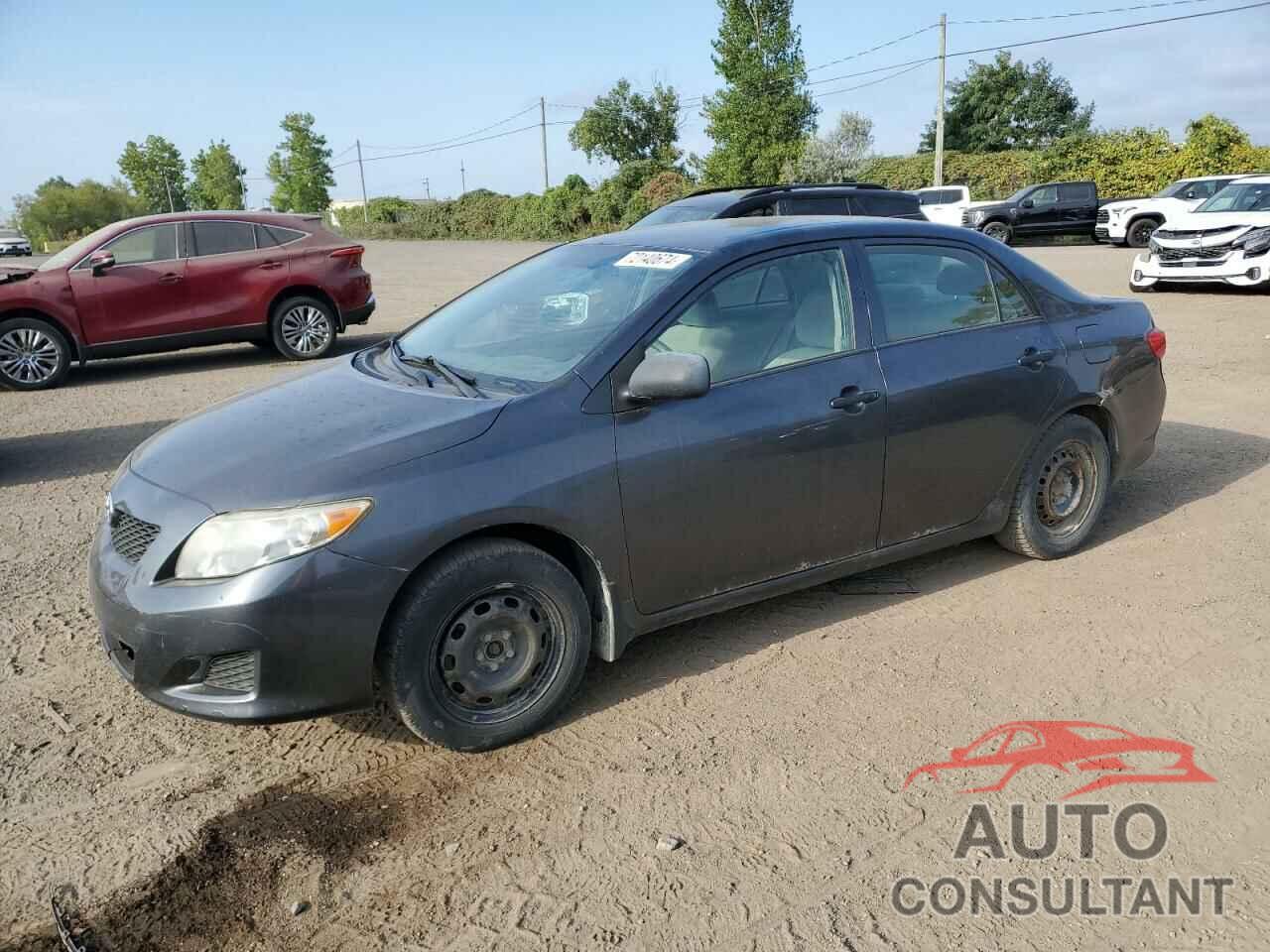 TOYOTA COROLLA 2010 - 2T1BU4EE0AC209366