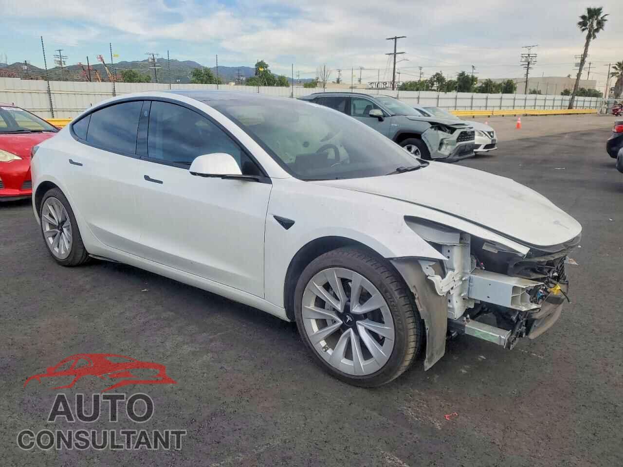 TESLA MODEL 3 2021 - 5YJ3E1EA3MF018084