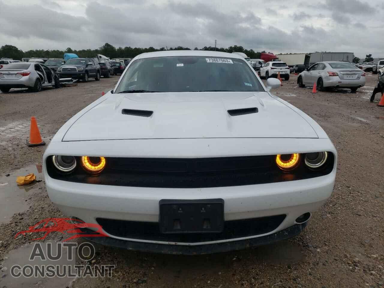 DODGE CHALLENGER 2019 - 2C3CDZAG7KH717046