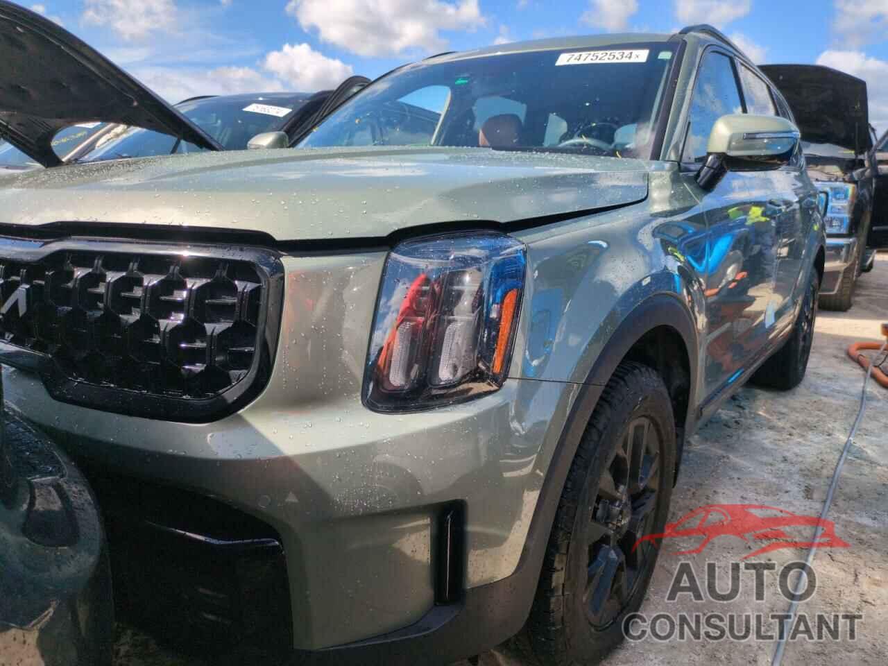 KIA TELLURIDE 2024 - 5XYP5DGC0RG468678