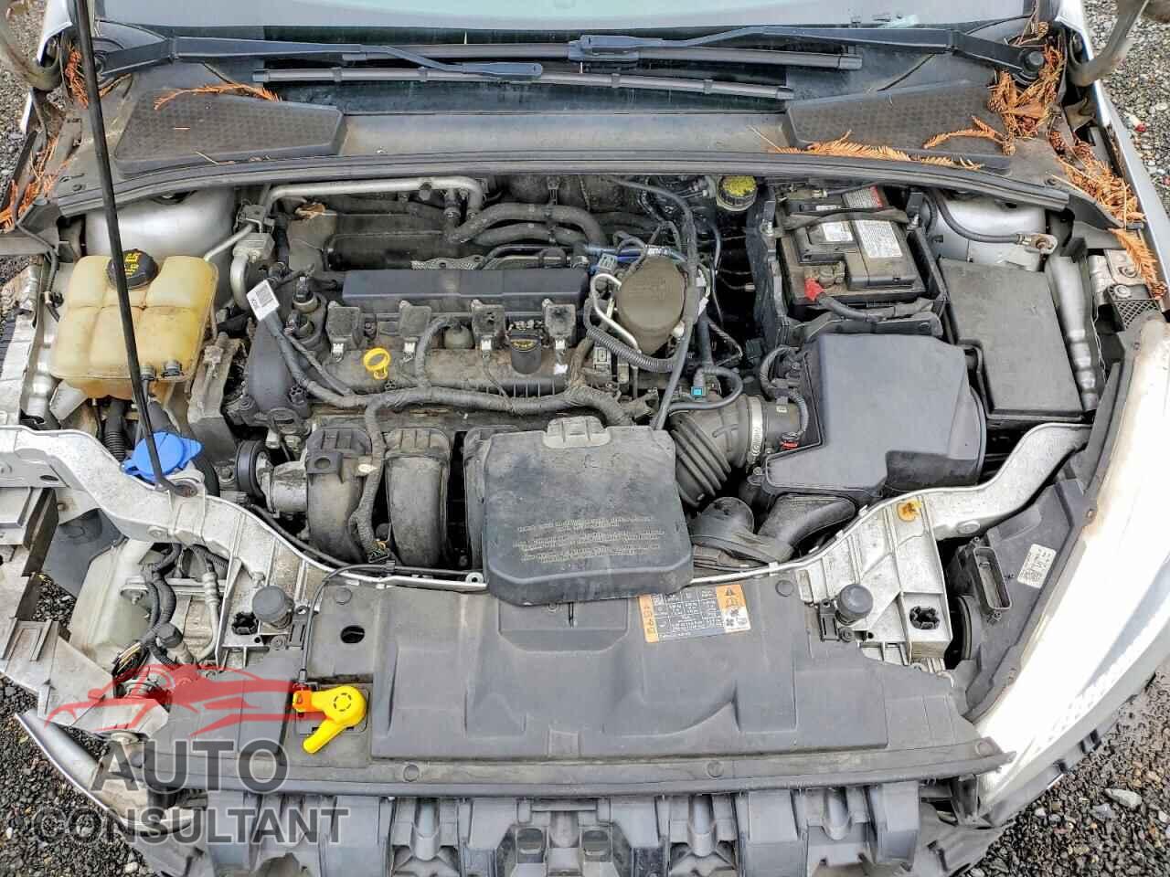 FORD FOCUS 2016 - 1FADP3F23GL282818