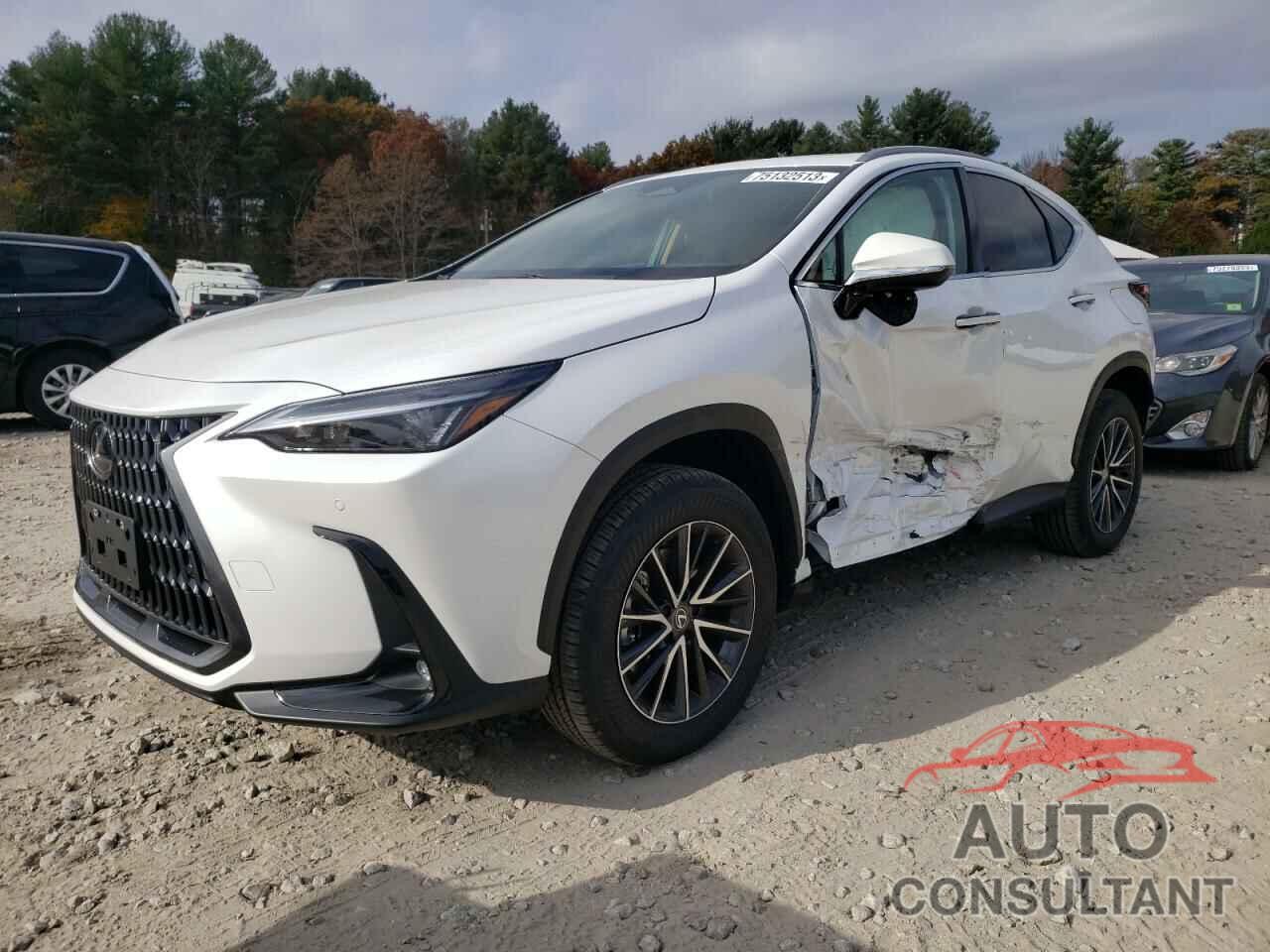LEXUS NX 350 PRE 2024 - 2T2GGCEZ3RC045340