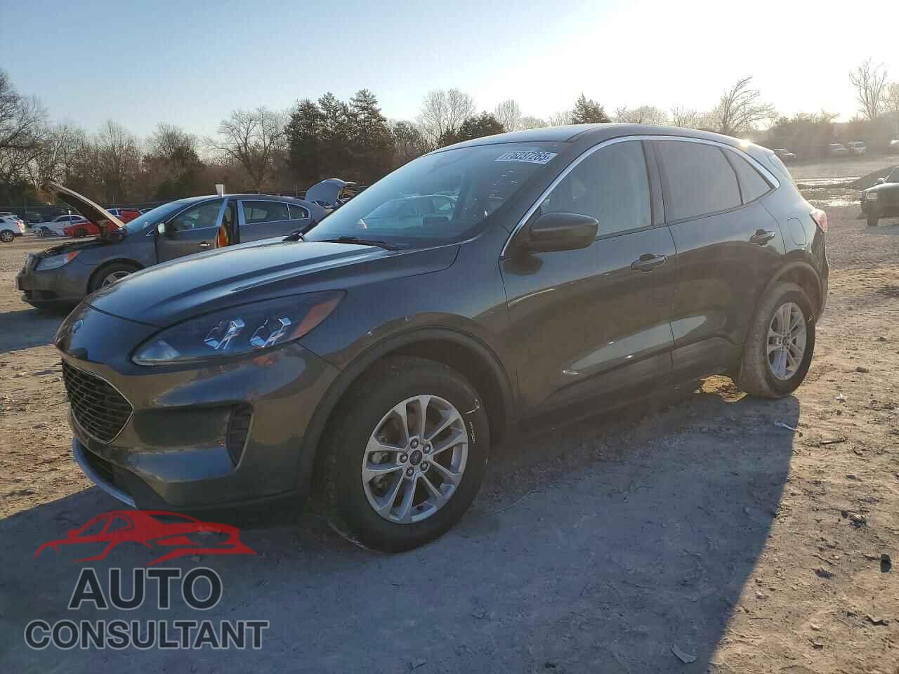 FORD ESCAPE 2020 - 1FMCU9G66LUA22268