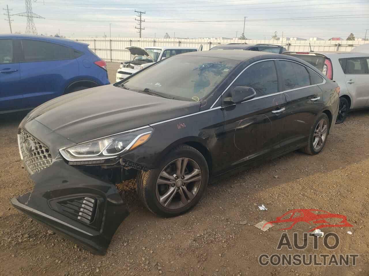 HYUNDAI SONATA 2019 - 5NPE34AF4KH785068