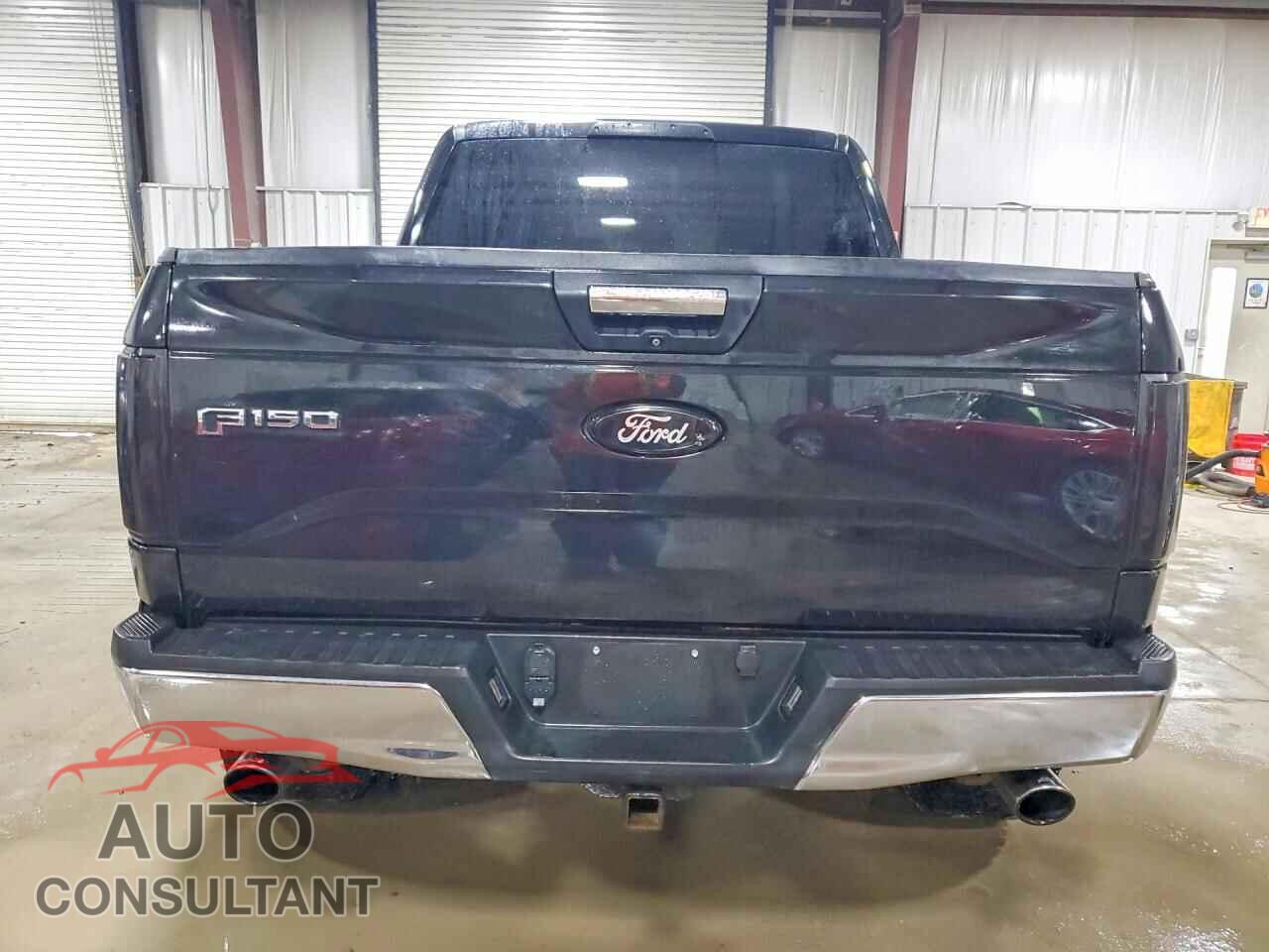 FORD F150 2015 - 1FTEW1EFXFFB60416