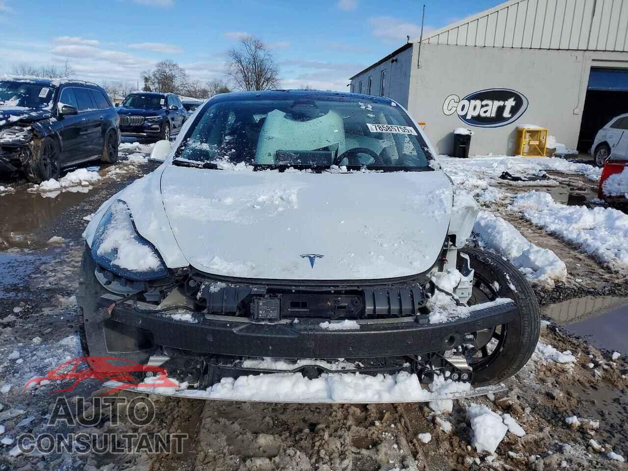 TESLA MODEL 3 2020 - 5YJ3E1EA0LF785065