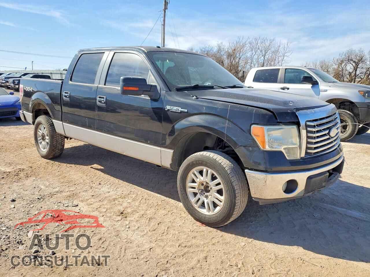 FORD F-150 2010 - 1FTFW1EV8AKA18724