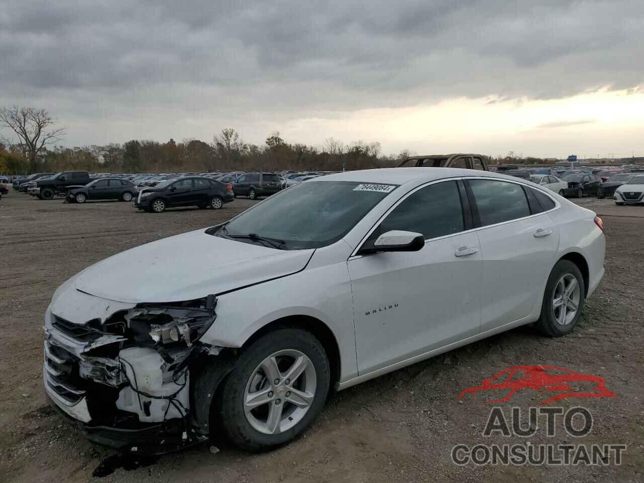 CHEVROLET MALIBU 2024 - 1G1ZC5ST5RF175317