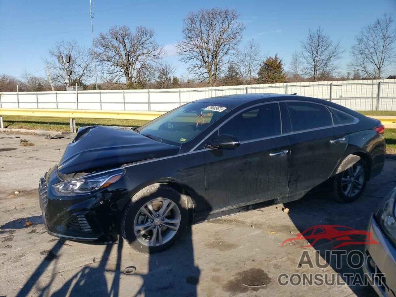 HYUNDAI SONATA 2019 - 5NPE34AF7KH752016