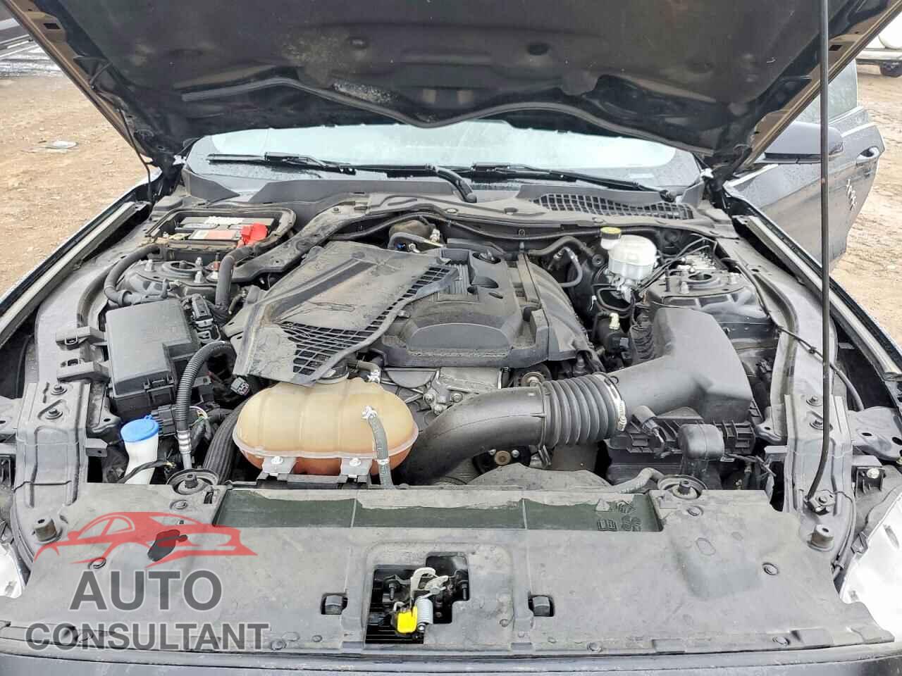 FORD MUSTANG 2020 - 1FA6P8TH2L5118196
