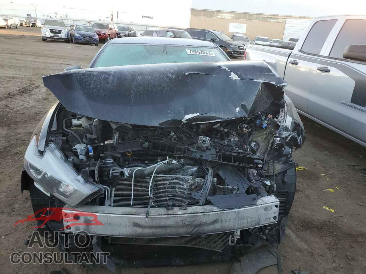 NISSAN MAXIMA 2017 - 1N4AA6AP8HC380043