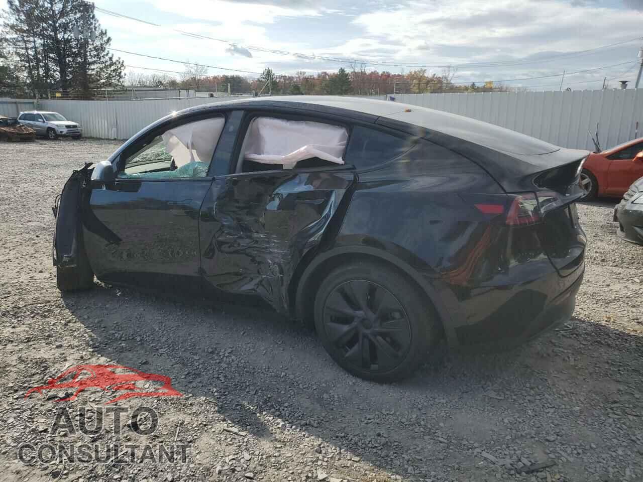 TESLA MODEL Y 2024 - 7SAYGDEE1RA296204