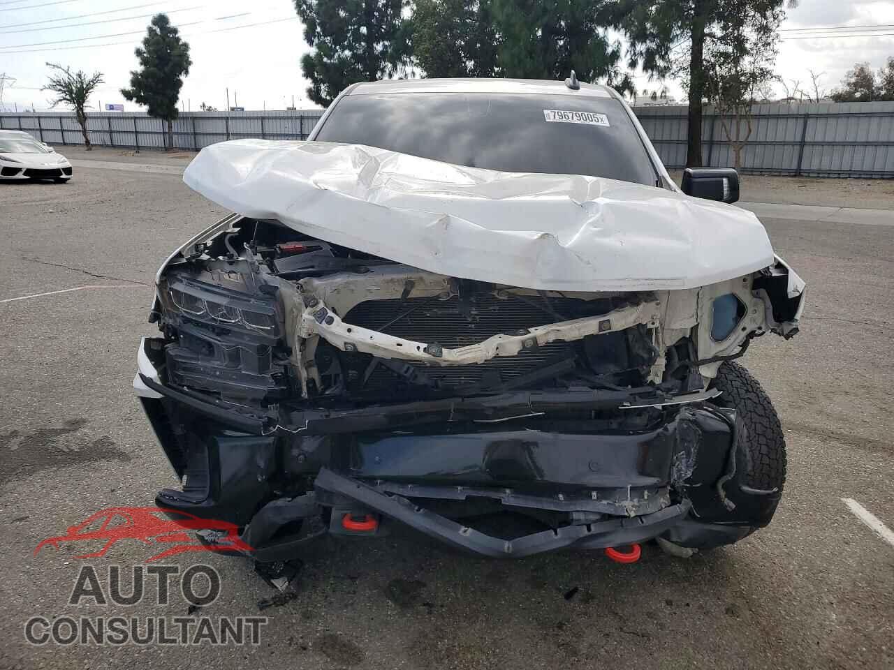 CHEVROLET SILVERADO 2019 - 1GCPYFED8KZ168814
