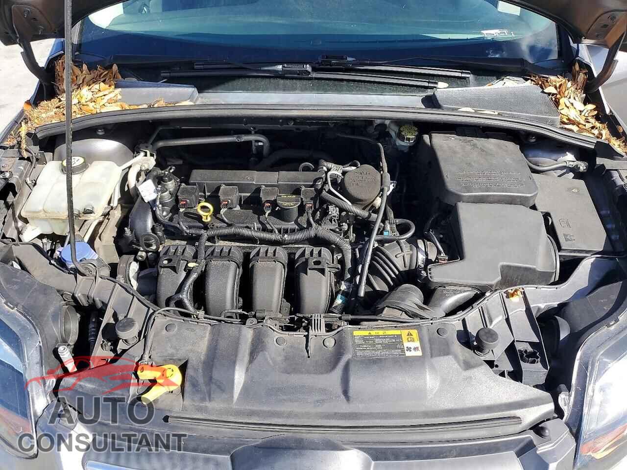 FORD FOCUS 2013 - 1FADP3F23DL104855