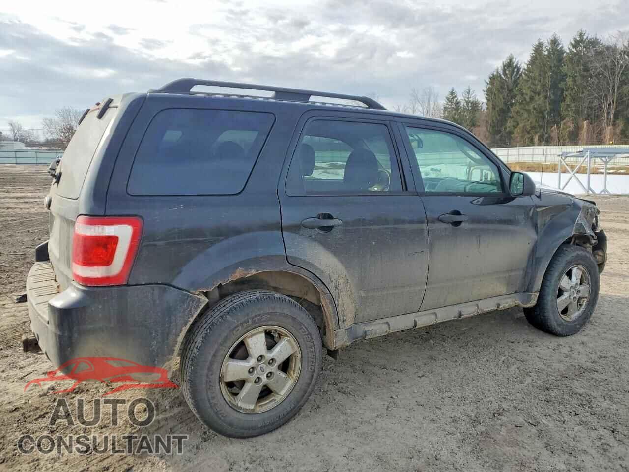 FORD ESCAPE 2010 - 1FMCU0D76AKB29130