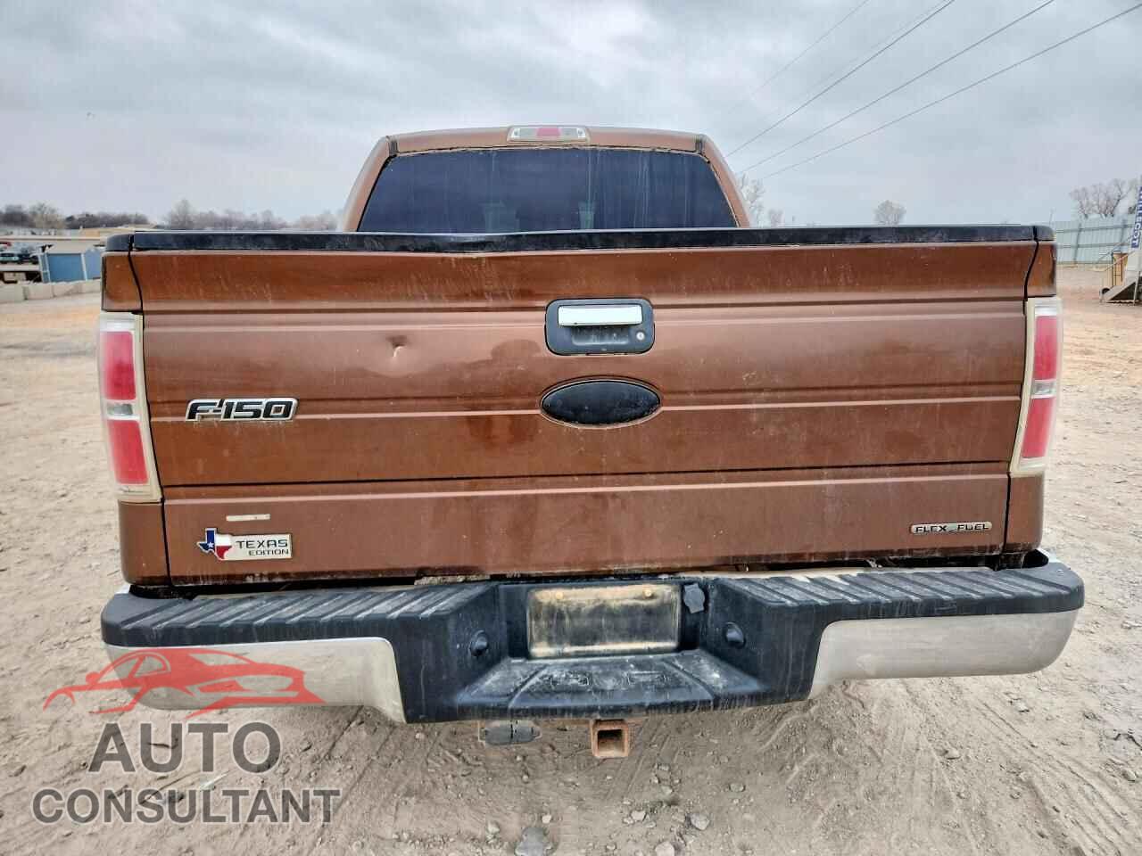 FORD F150 2011 - 1FTEW1CM5BFB97966