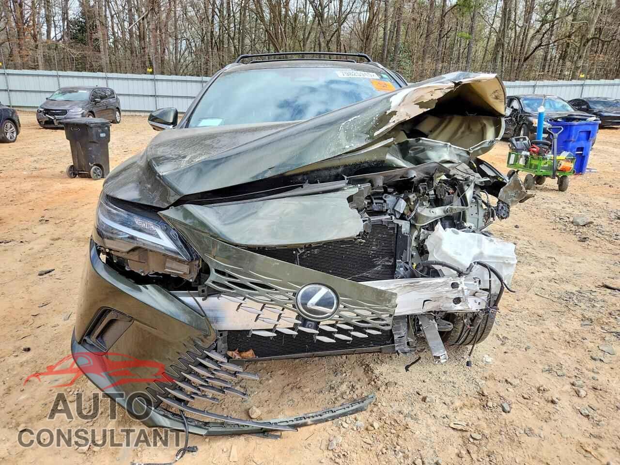 LEXUS RX 350 PRE 2024 - 2T2BAMBA5RC032654