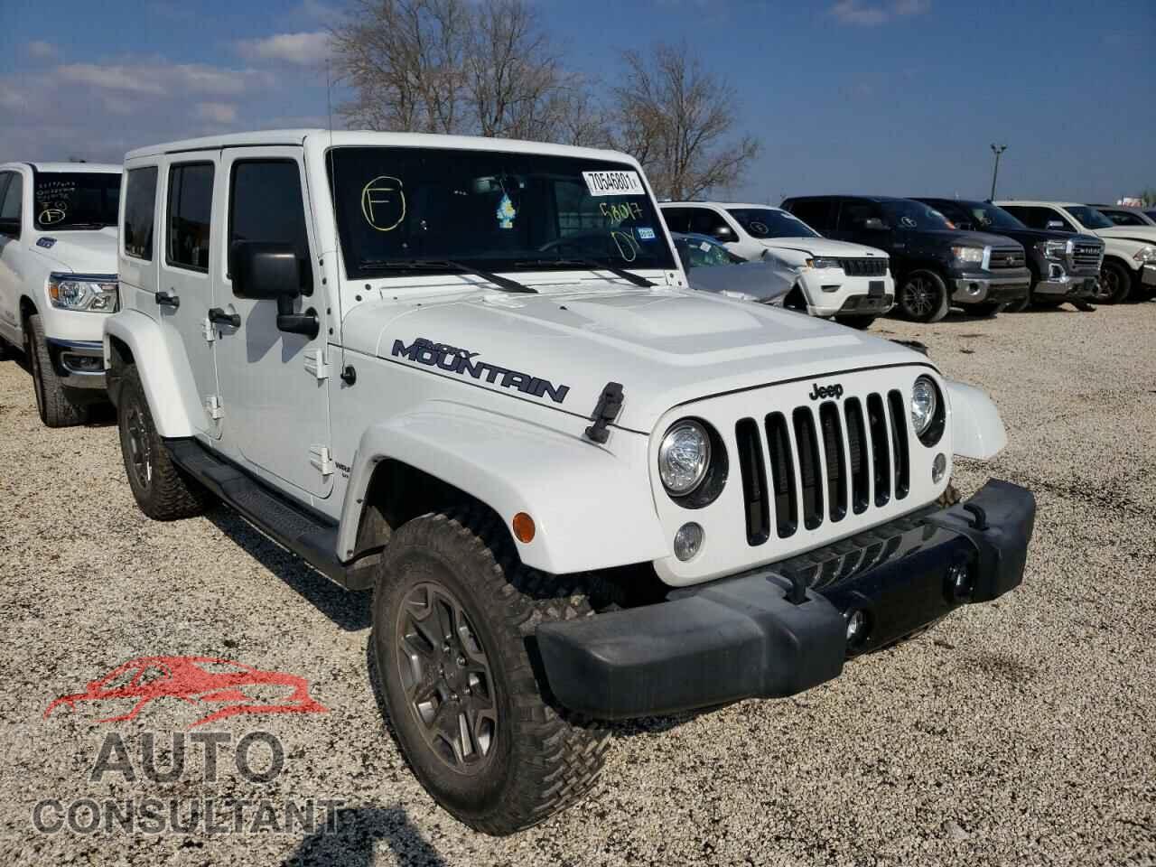 JEEP WRANGLER 2017 - 1C4BJWEG2HL624925