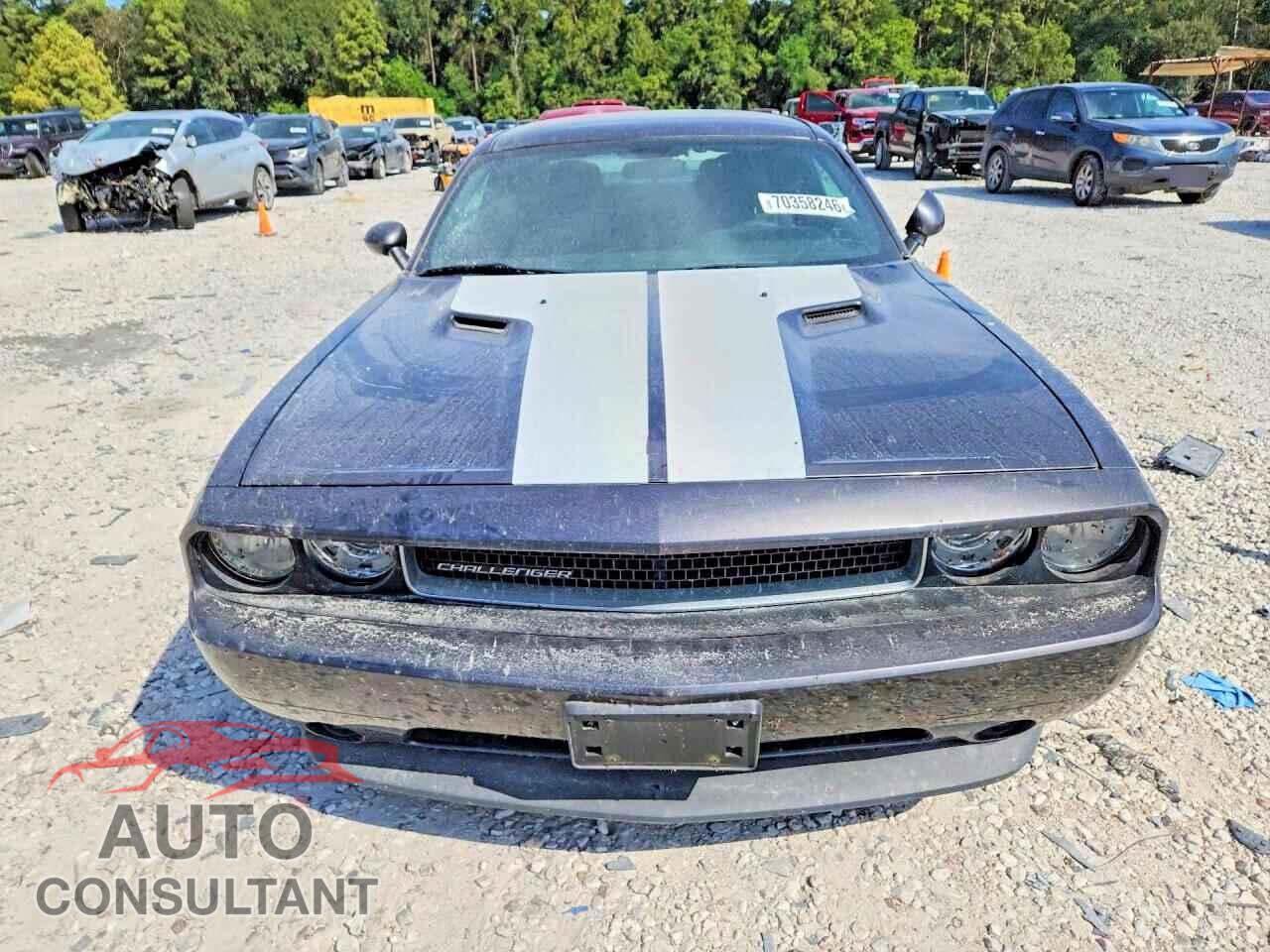 DODGE CHALLENGER 2014 - 2C3CDYAG3EH153121