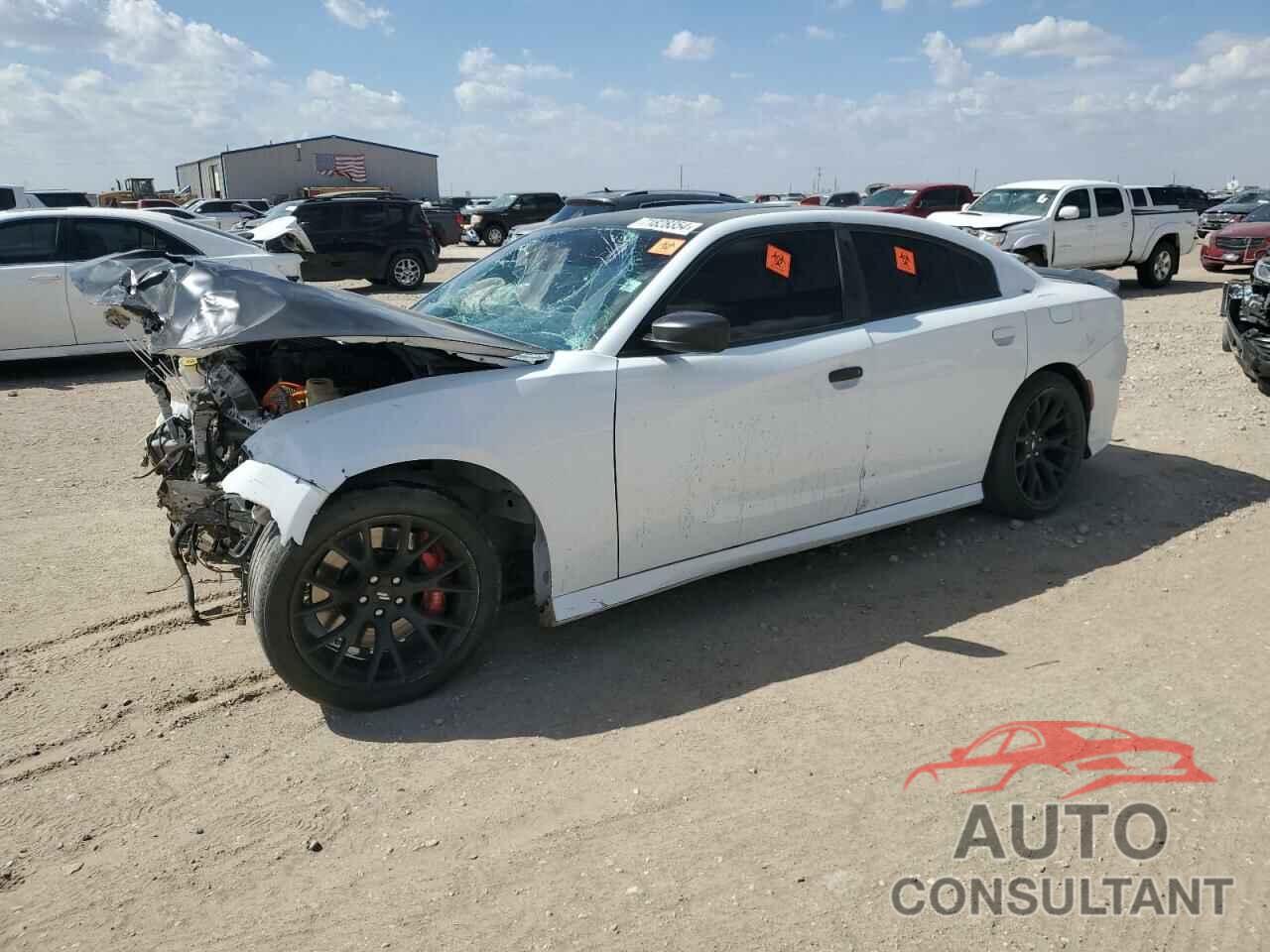 DODGE CHARGER 2019 - 2C3CDXGJ8KH738978