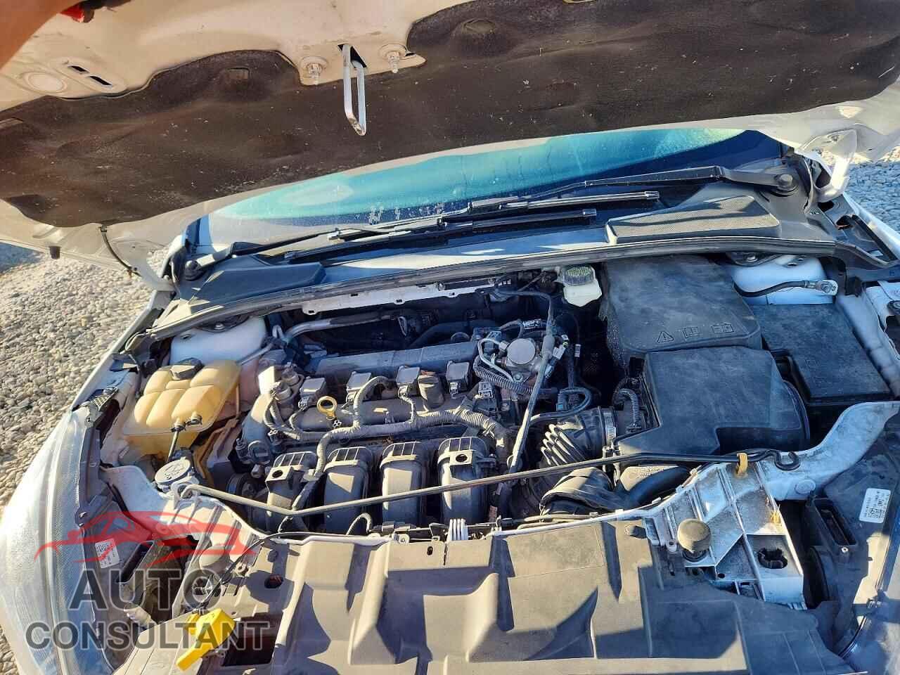 FORD FOCUS 2017 - 1FADP3M2XHL314247