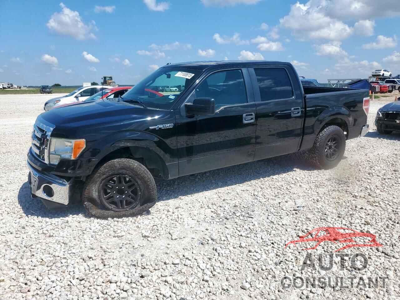 FORD F-150 2011 - 1FTEW1CM2BFD27640