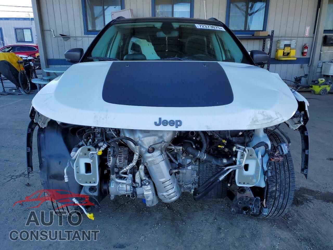 JEEP COMPASS 2019 - 3C4NJDDBXKT739985