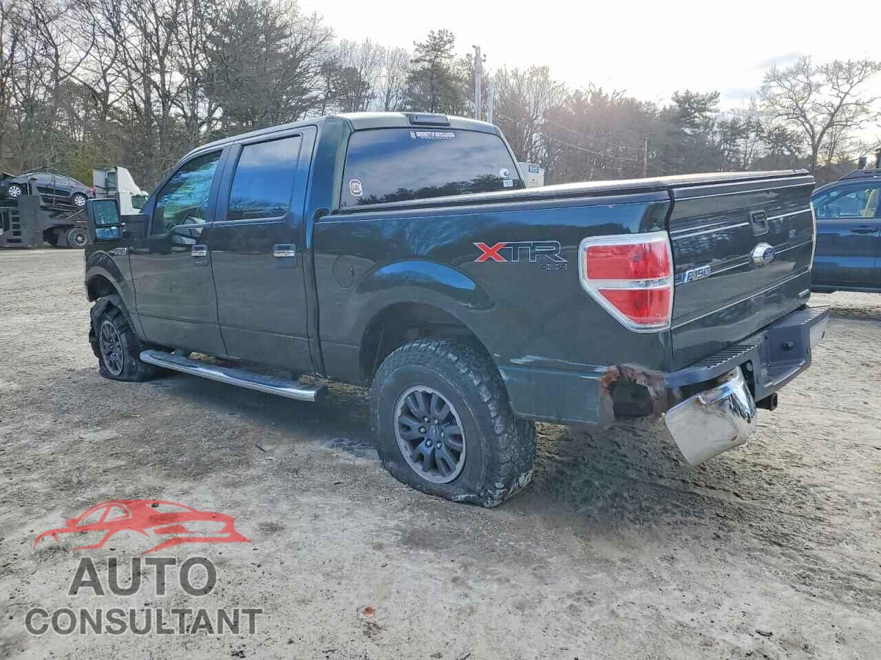 FORD F-150 2013 - 1FTFW1EF9DFC97252