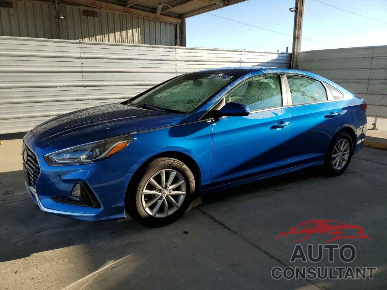 HYUNDAI SONATA 2019 - 5NPE24AF3KH773058