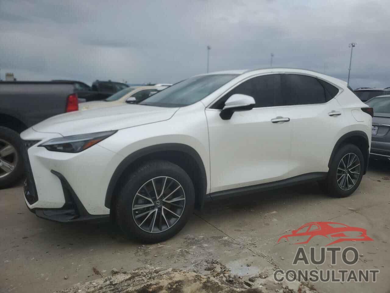 LEXUS NX 350H BA 2024 - JTJGKCEZXR2035323