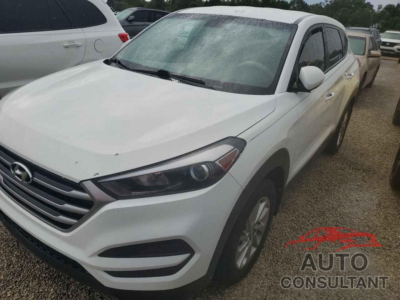 HYUNDAI TUCSON 2017 - KM8J23A40HU470210