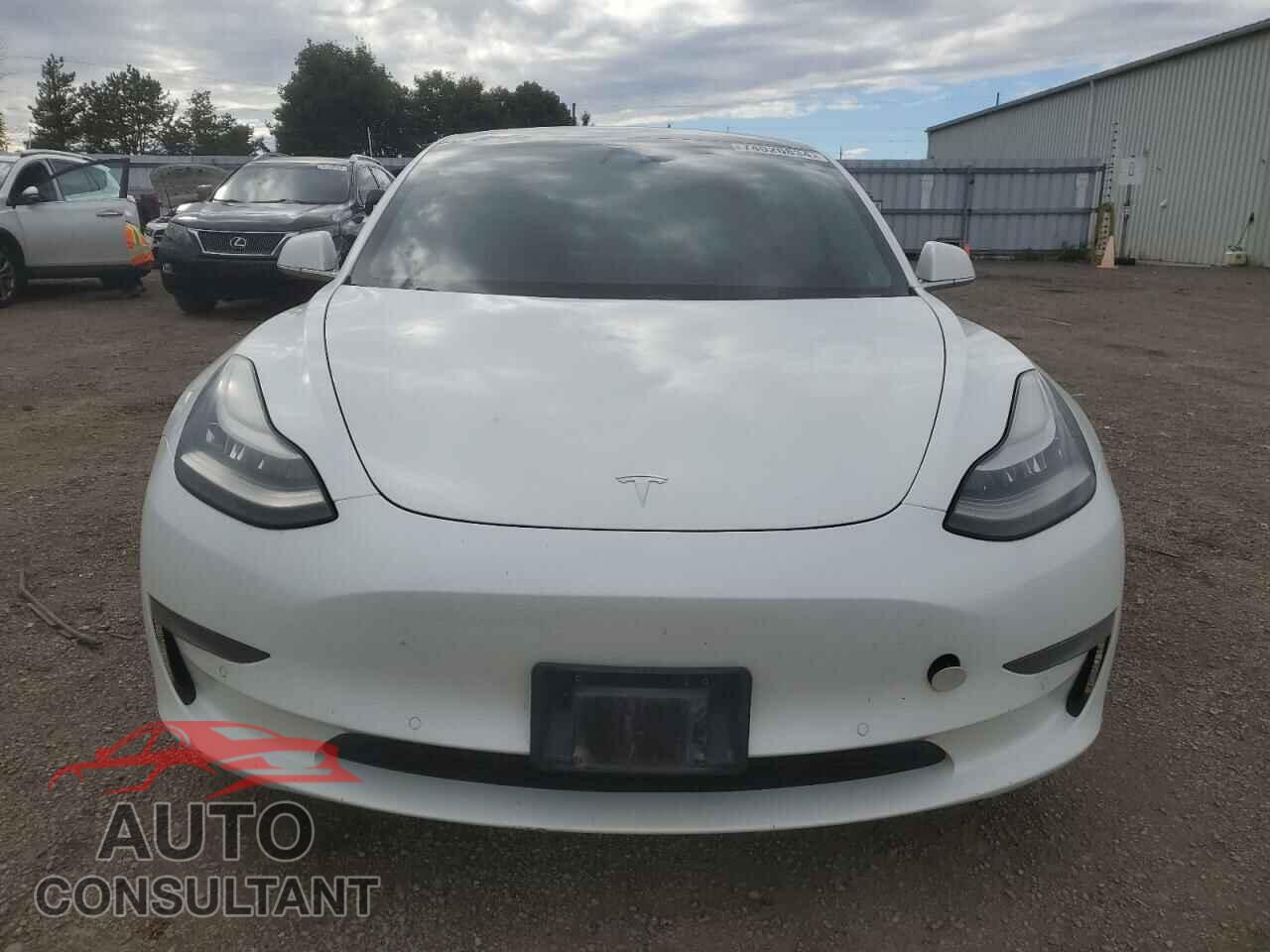 TESLA MODEL 3 2020 - 5YJ3E1EA4LF609474