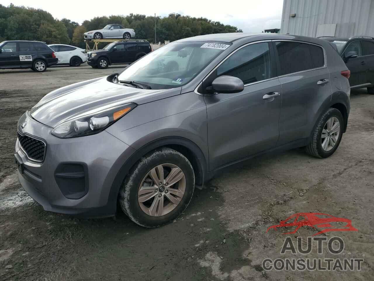 KIA SPORTAGE 2017 - KNDPM3AC7H7173353