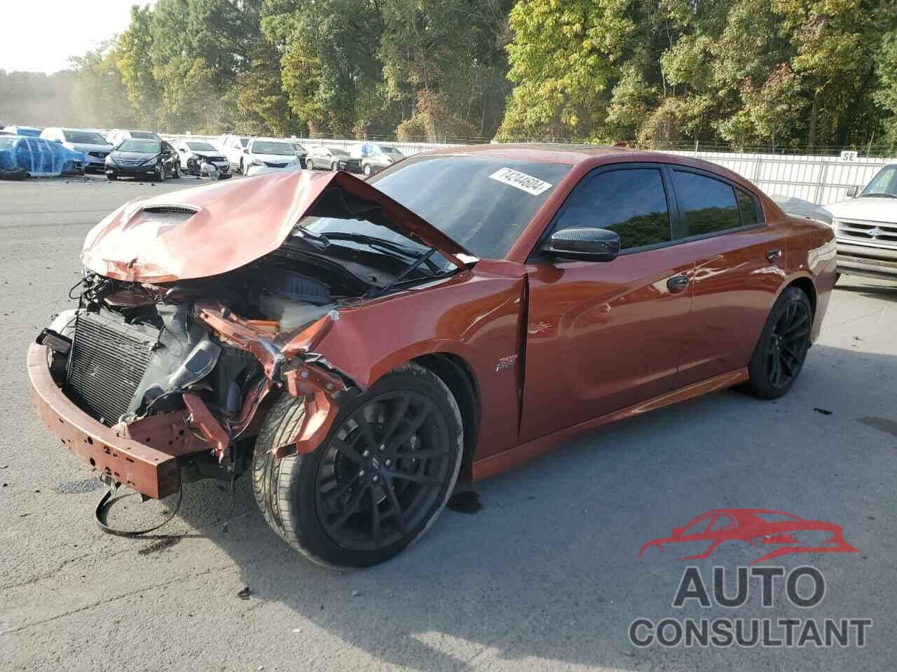 DODGE CHARGER 2020 - 2C3CDXGJ2LH228773