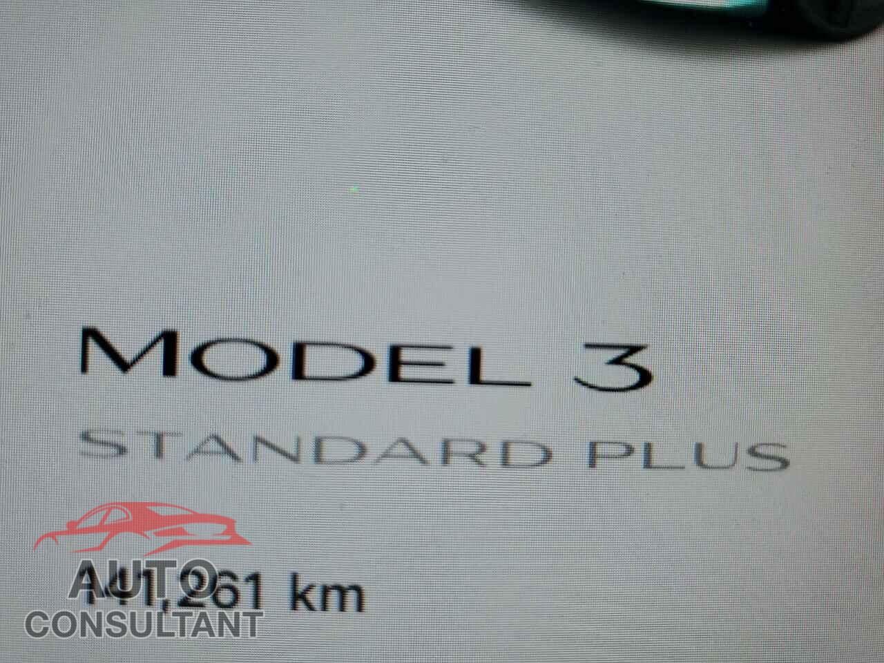 TESLA MODEL 3 2020 - 5YJ3E1EA6LF704053
