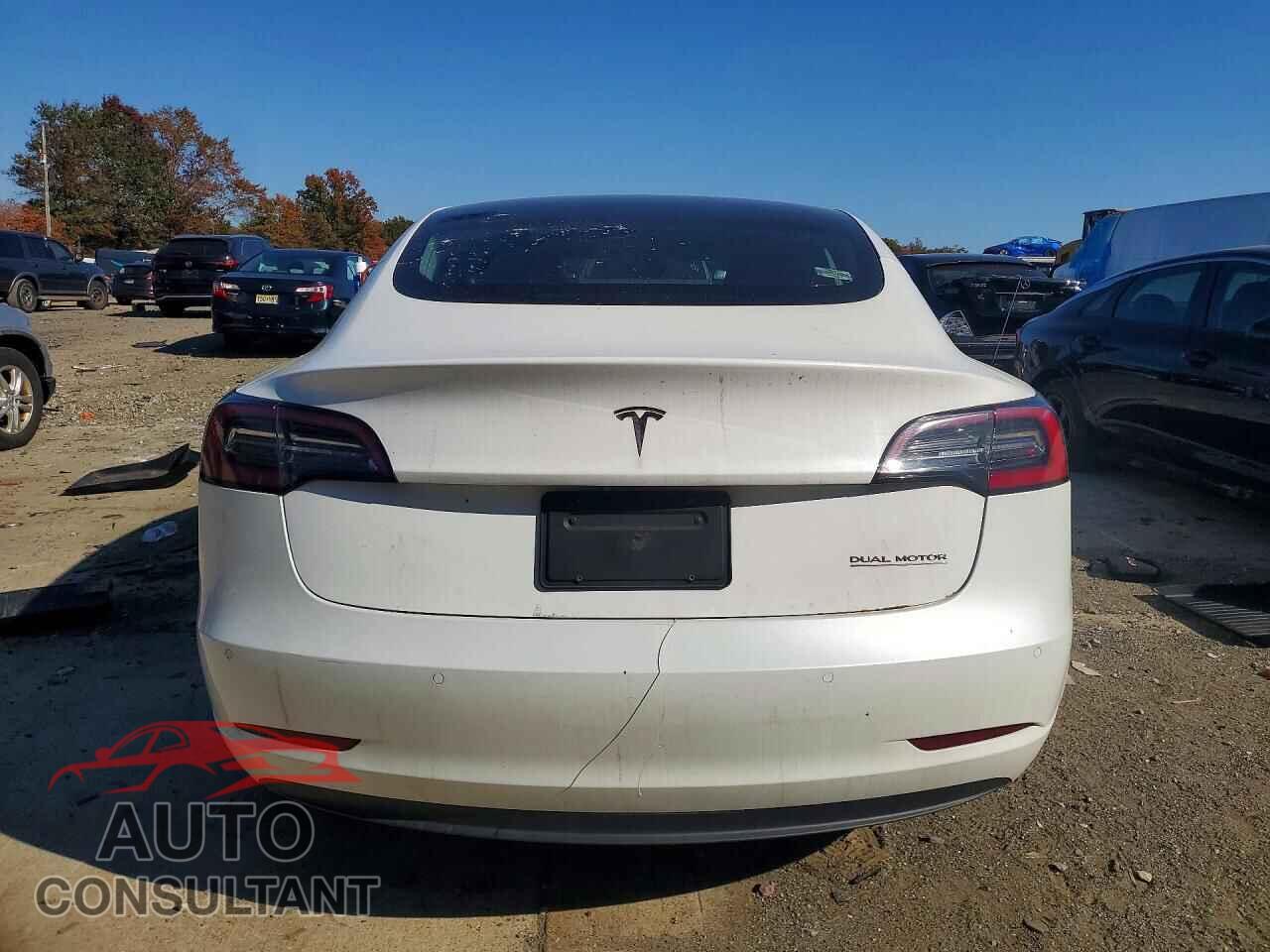 TESLA MODEL 3 2019 - 5YJ3E1EBXKF433246
