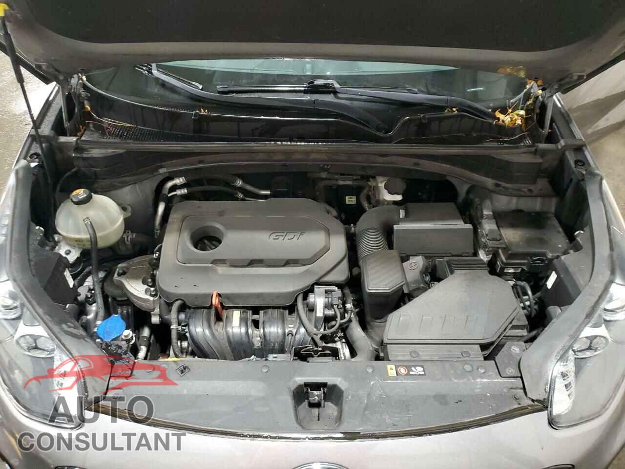 KIA SPORTAGE 2018 - KNDPMCAC6J7347323