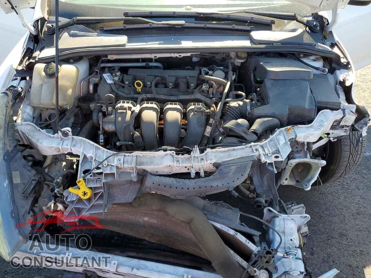 FORD FOCUS 2016 - 1FADP3F20GL362755