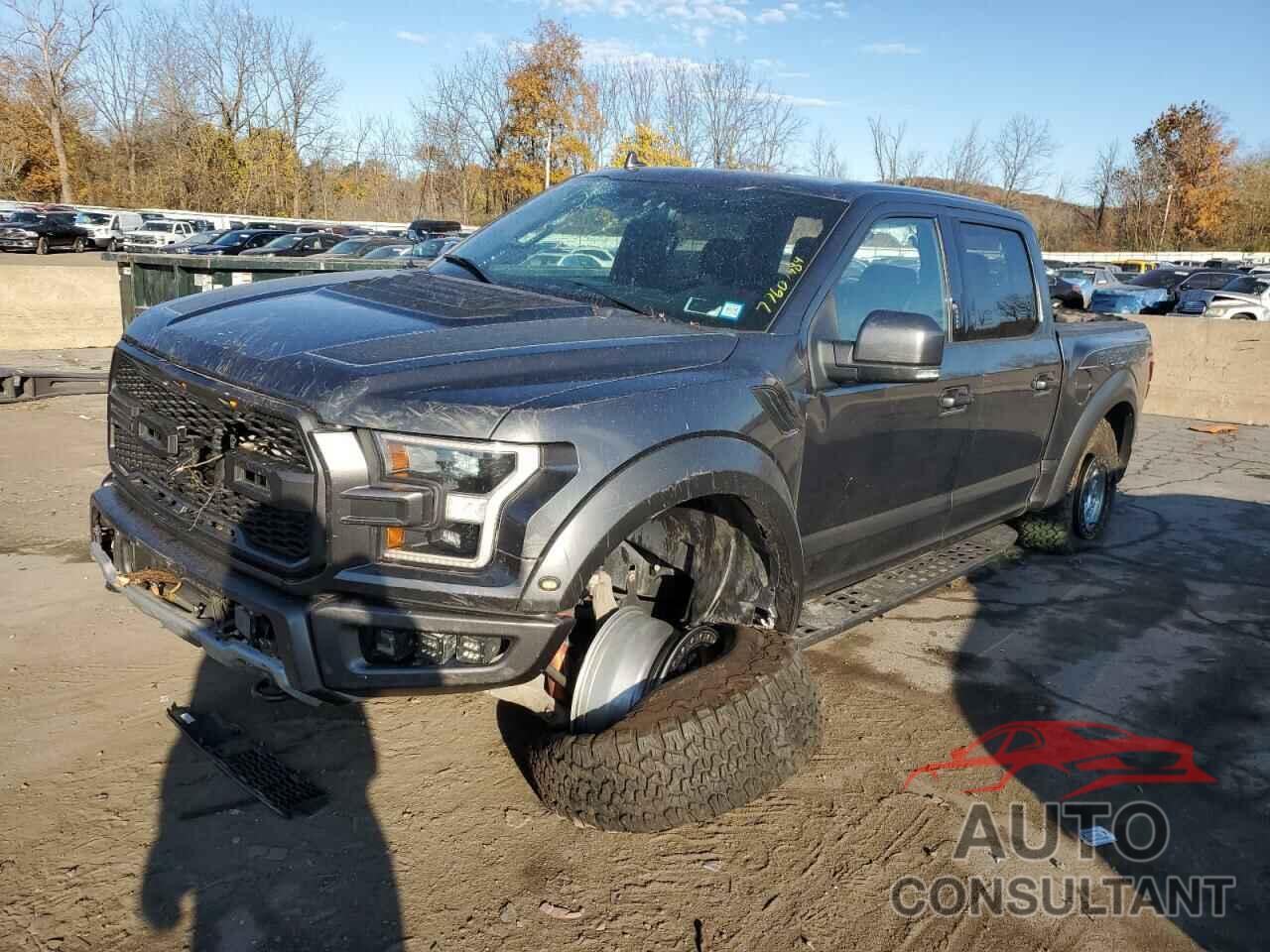 FORD F150 2019 - 1FTFW1RG7KFB31991