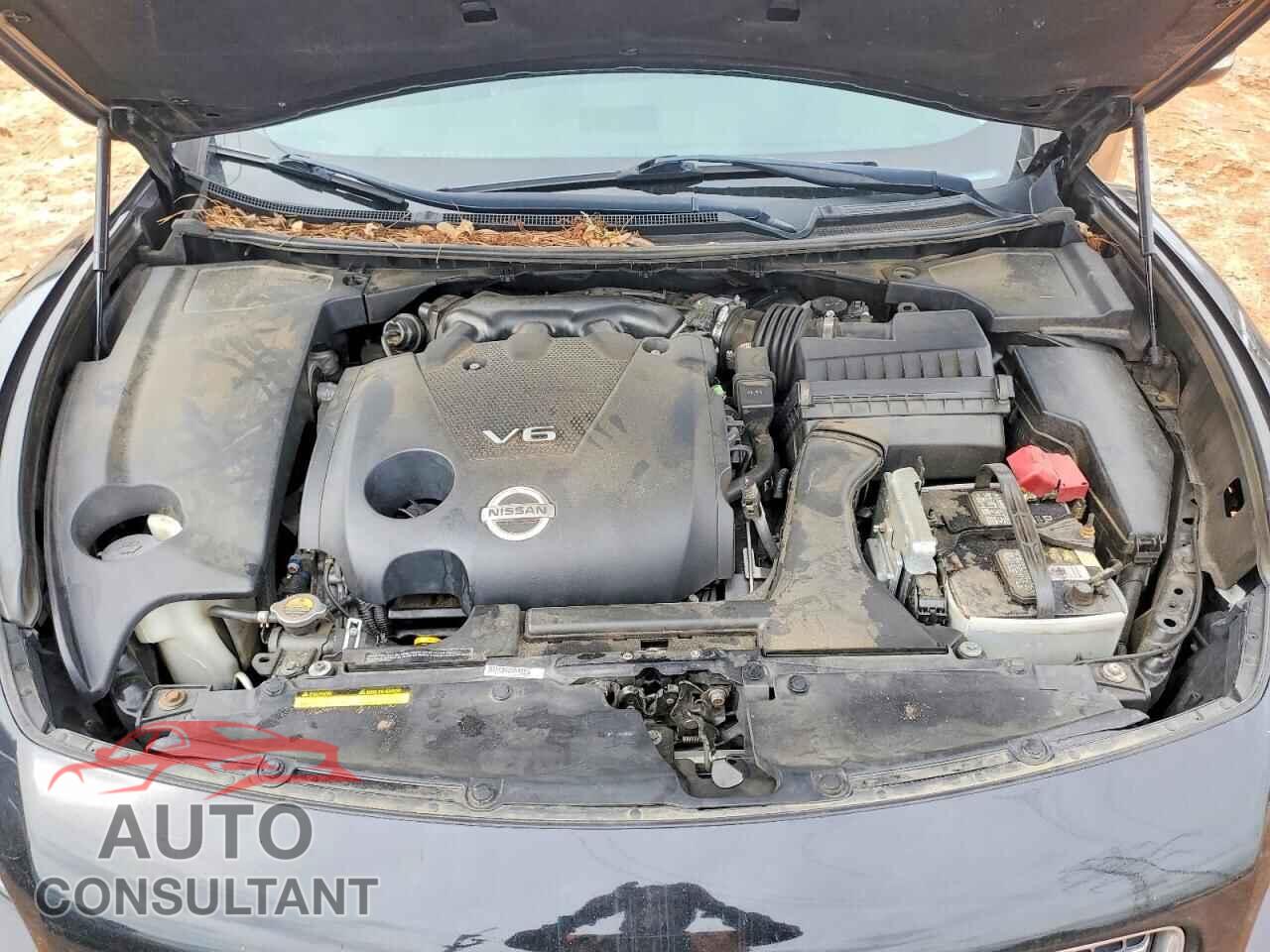 NISSAN MAXIMA 2011 - 1N4AA5AP1BC862905