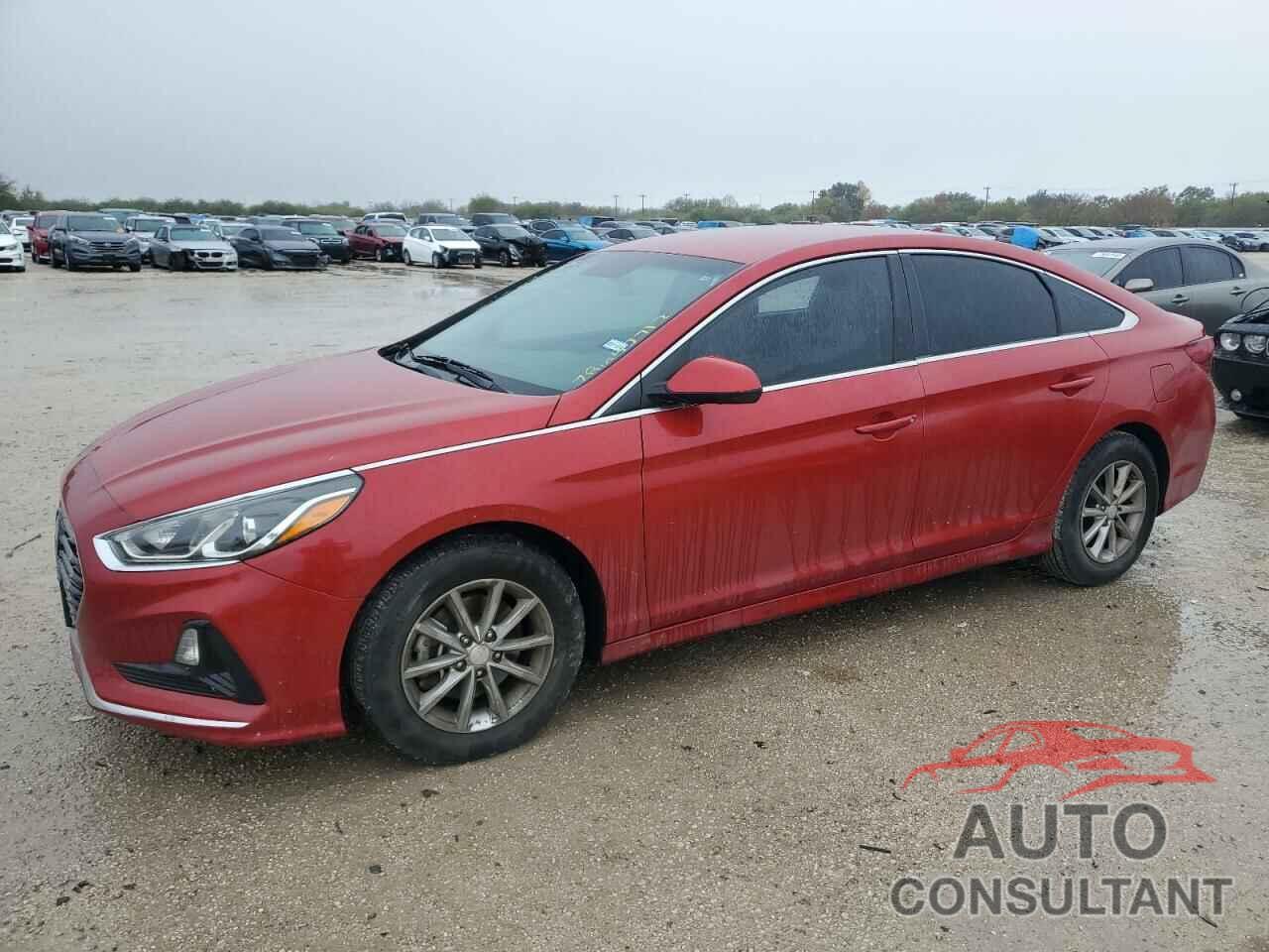 HYUNDAI SONATA 2019 - 5NPE24AF0KH785104