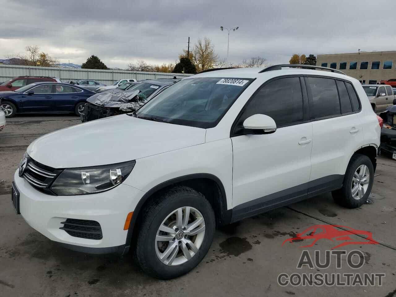 VOLKSWAGEN TIGUAN 2016 - WVGBV7AX8GW579725