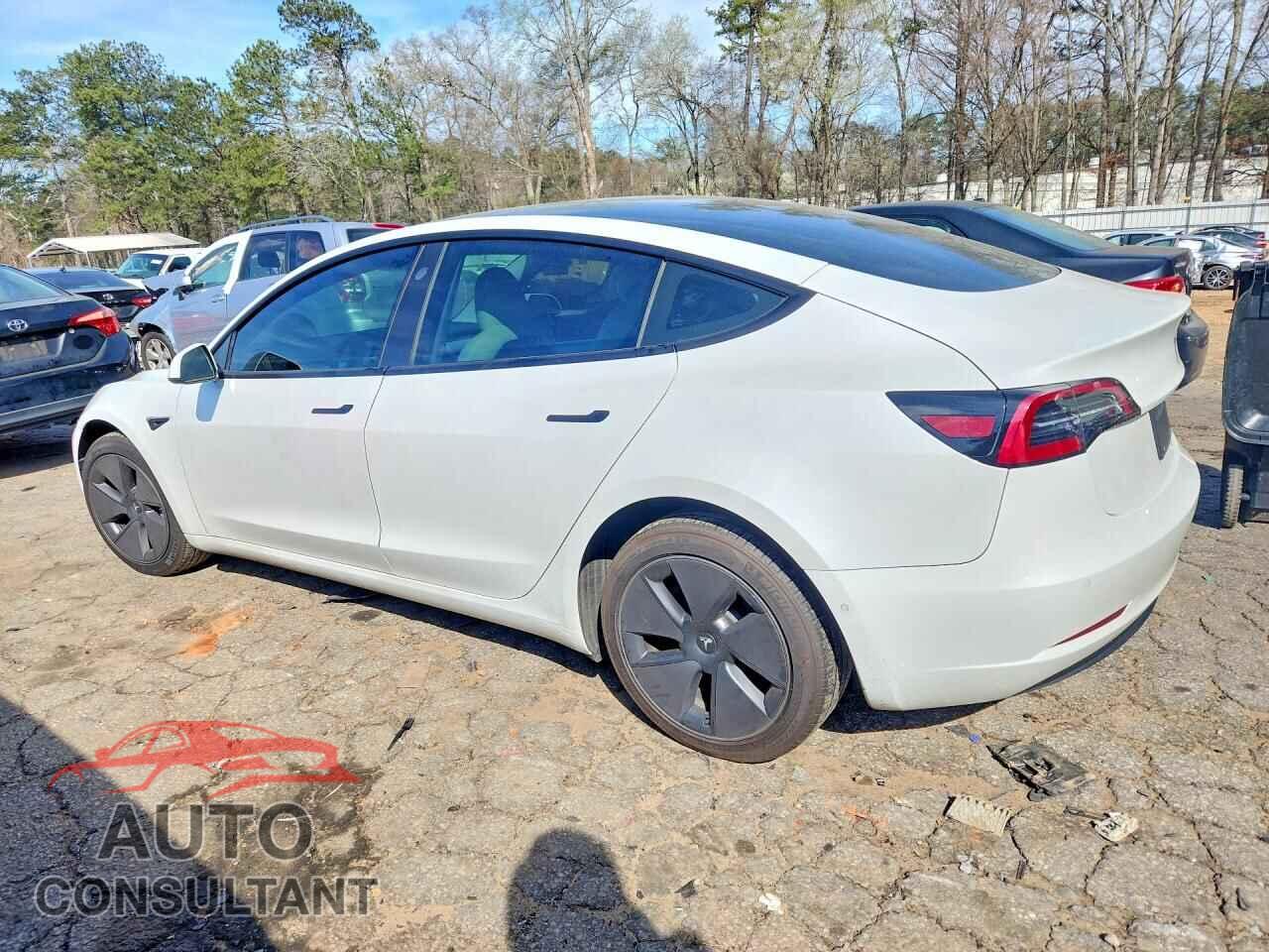 TESLA MODEL 3 2021 - 5YJ3E1EA1MF920748