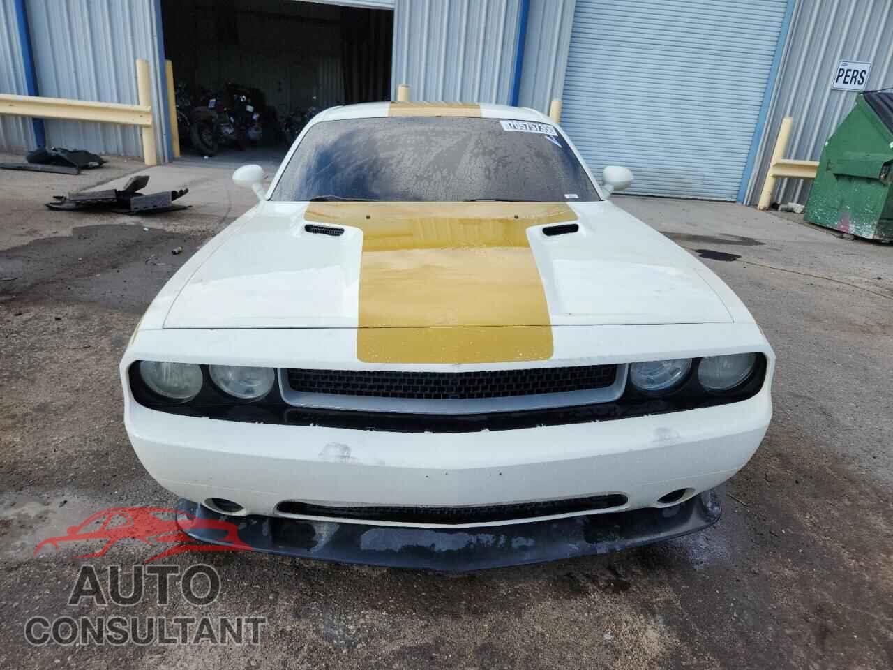 DODGE CHALLENGER 2013 - 2C3CDYAG1DH646181