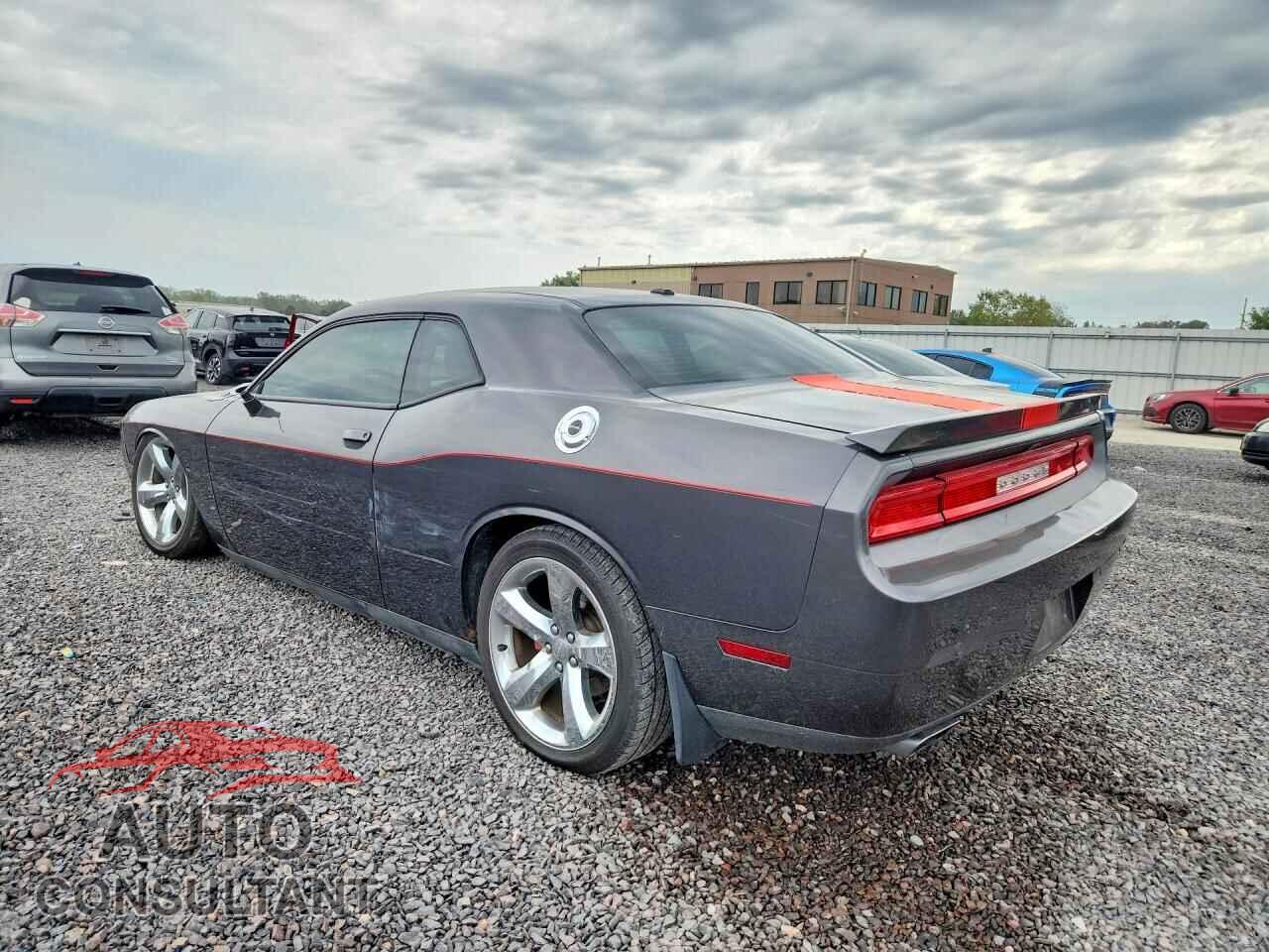 DODGE CHALLENGER 2013 - 2C3CDYAG2DH632919