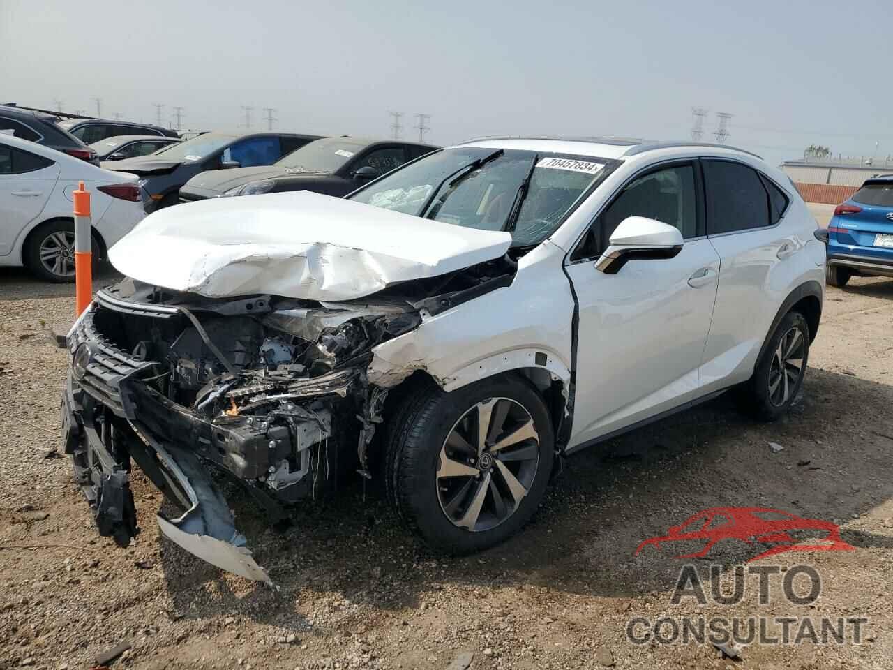 LEXUS NX 2019 - JTJBARBZ7K2205504