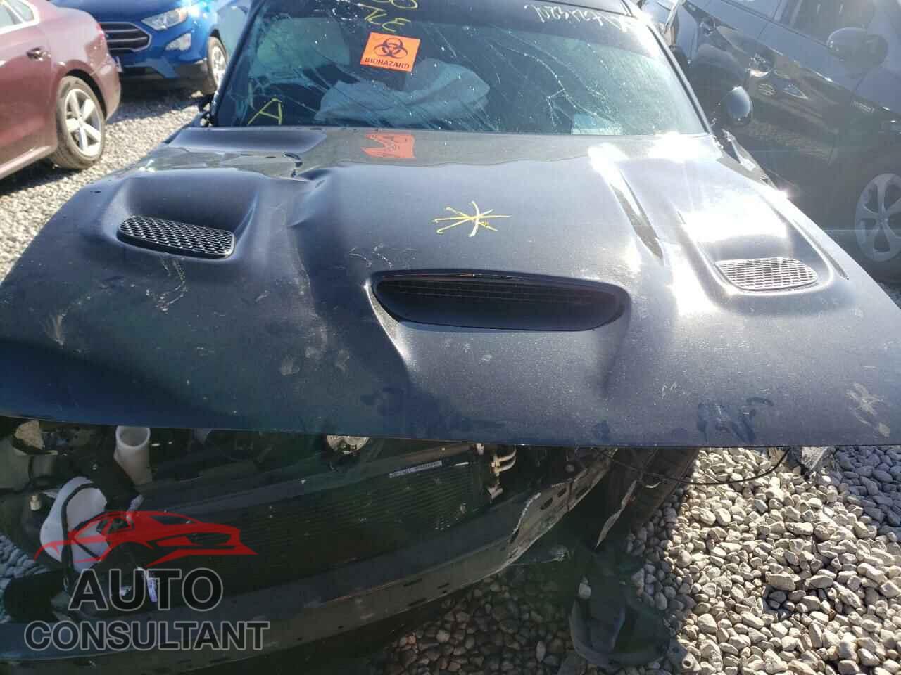 DODGE CHALLENGER 2019 - 2C3CDZFJXKH719619