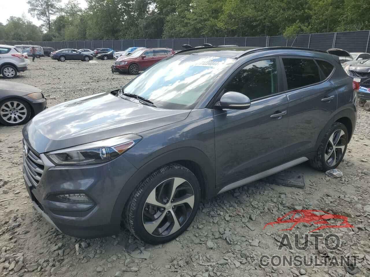 HYUNDAI TUCSON 2017 - KM8J33A28HU557381