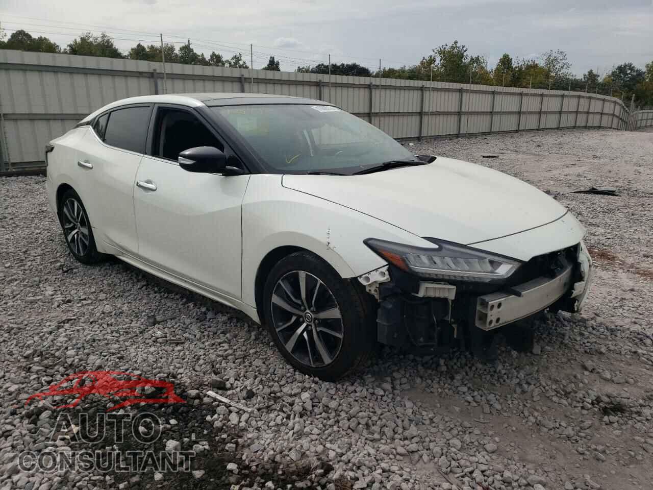 NISSAN MAXIMA 2019 - 1N4AA6AV8KC372577